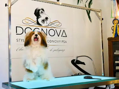DOGNOVA STYLOVE STUDIO ODNOWY PSA - SPA i FRYZJER PSA